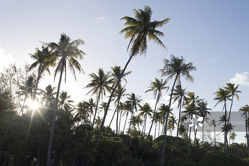 波利尼西亚海景图片素材