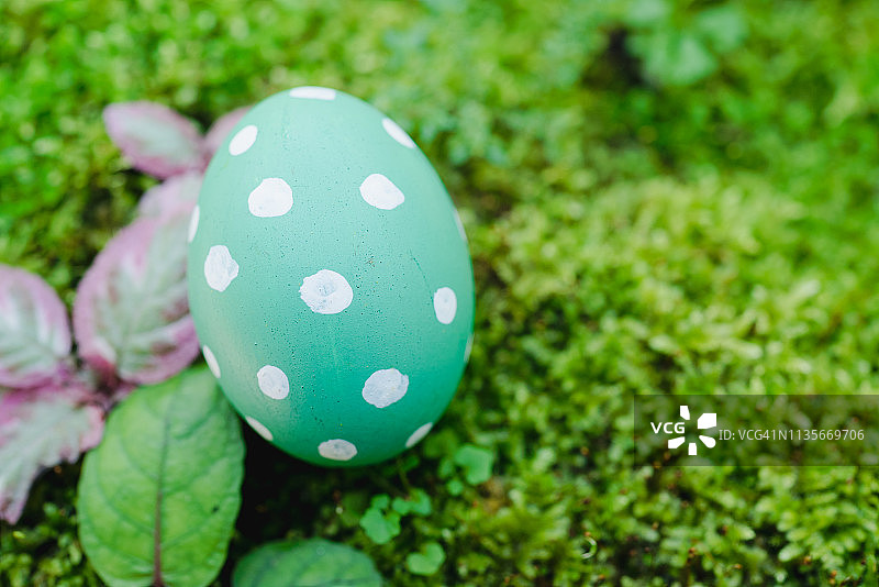花园里漂亮的复活节绿色鸡蛋图片素材