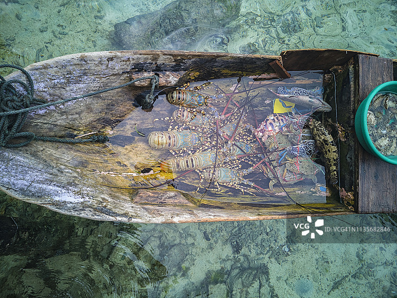 传统木船内待售和展示的新鲜生猛海鲜，如龙虾和石斑鱼图片素材