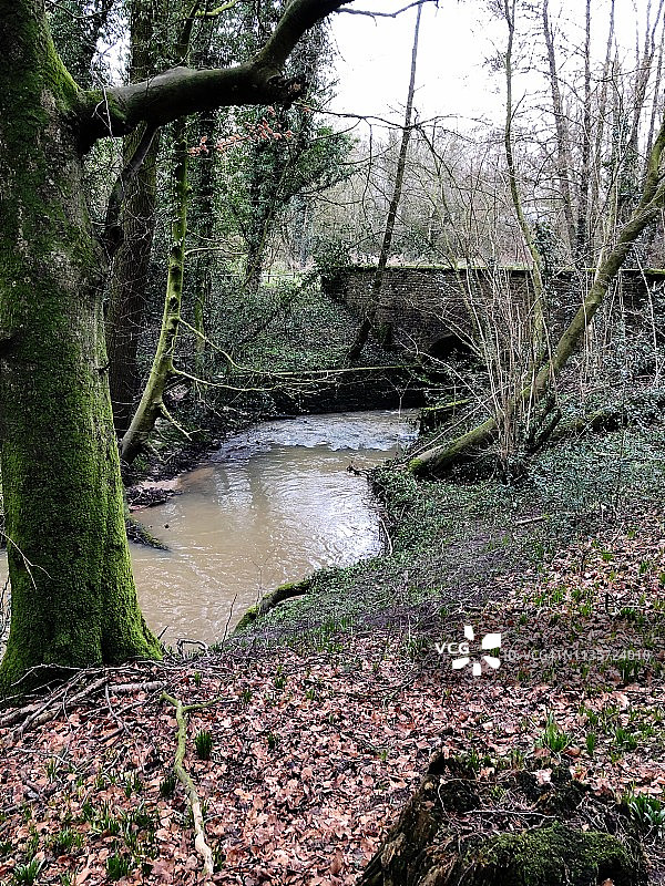 西萨塞克斯郡米德赫斯特附近的斯特德汉姆的伍尔默桥图片素材
