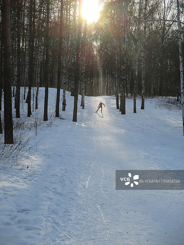伏尔加河畔白桦林的三月阴影图片素材