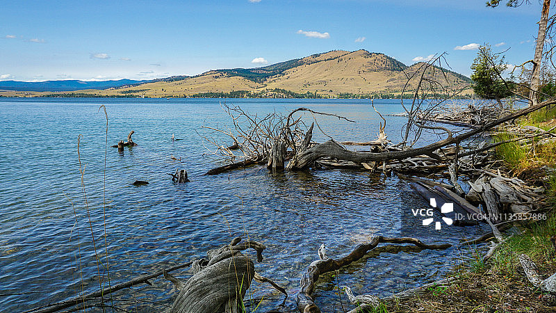 蒙大拿州平头湖野马岛海岸线图片素材