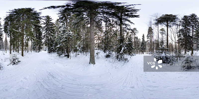 360度冬季森林图片素材