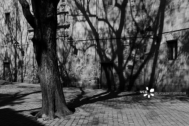 春季圣费利普内里广场景色图片素材