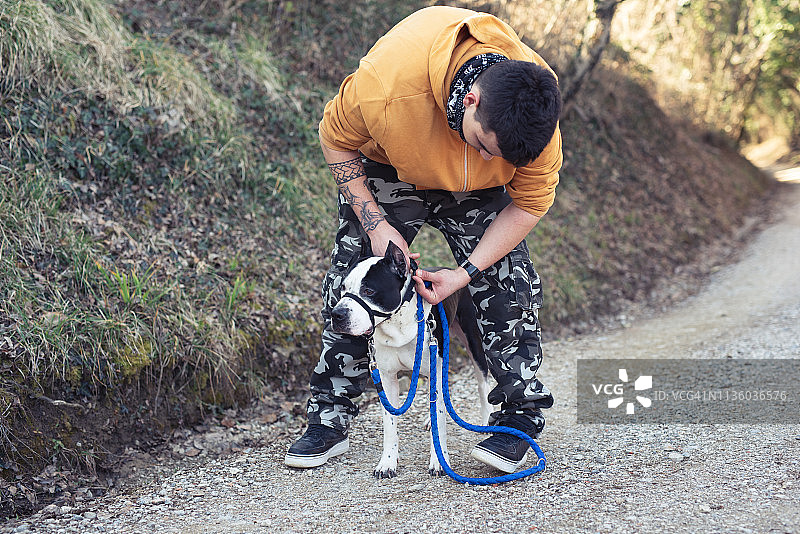 青年男子给比特犬戴上口套图片素材