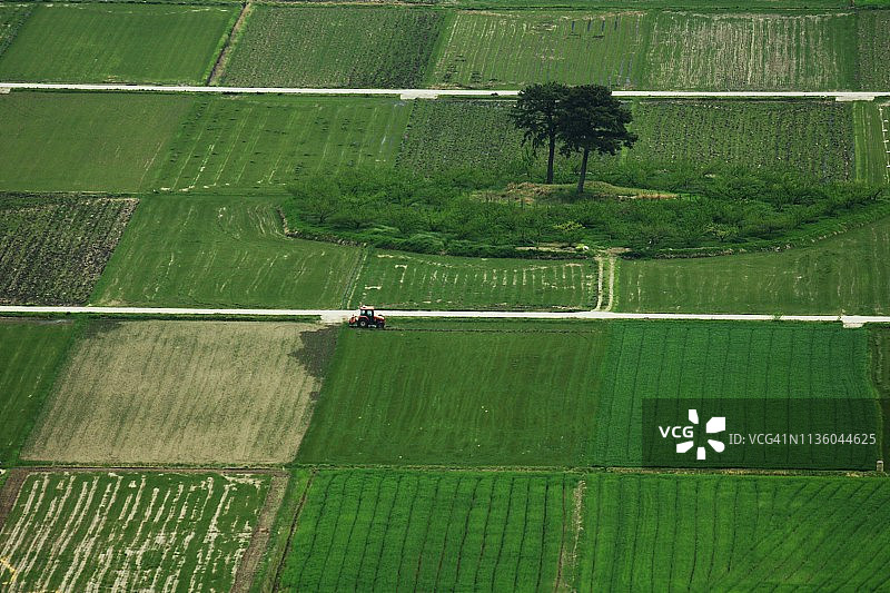 韩国河东的绿地和松树图片素材