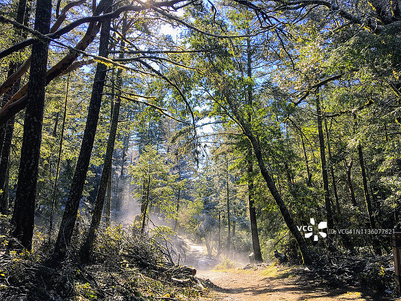穿过荒野的蒸汽雾气木质小径图片素材