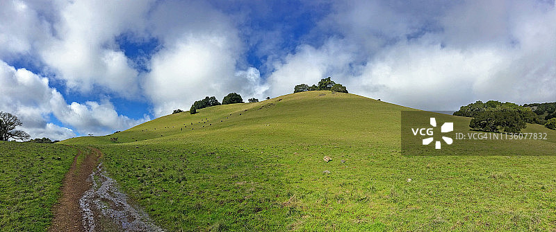 伯德尔山保护区泥泞小路和绿色山脉的广角照片图片素材