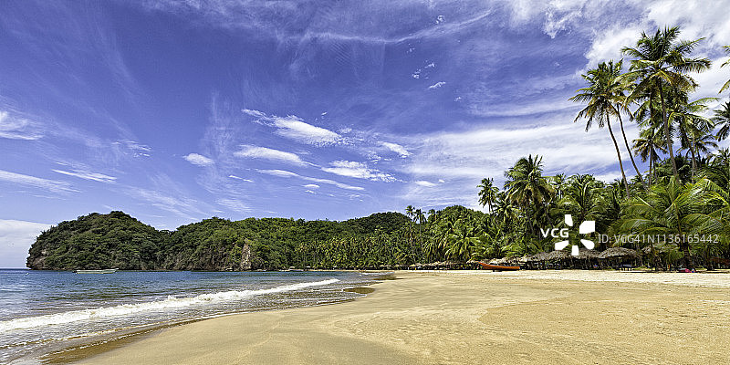 加勒比热带椰林海滩全景图片素材