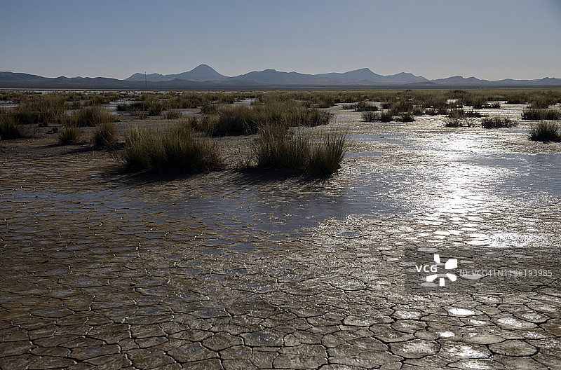 美国新墨西哥州阿拉莫戈多附近的干旱地形和矮灌木图片素材