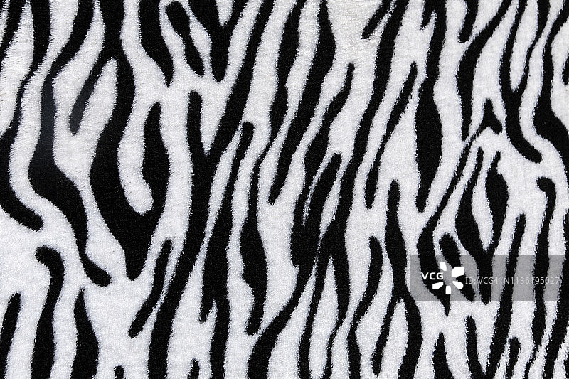 斑马纹印花图案图片素材