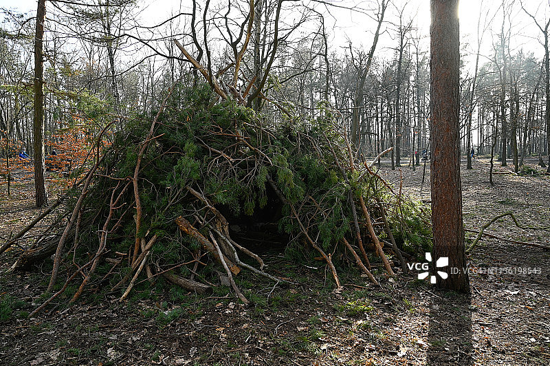 森林中用树枝搭建的棚屋图片素材