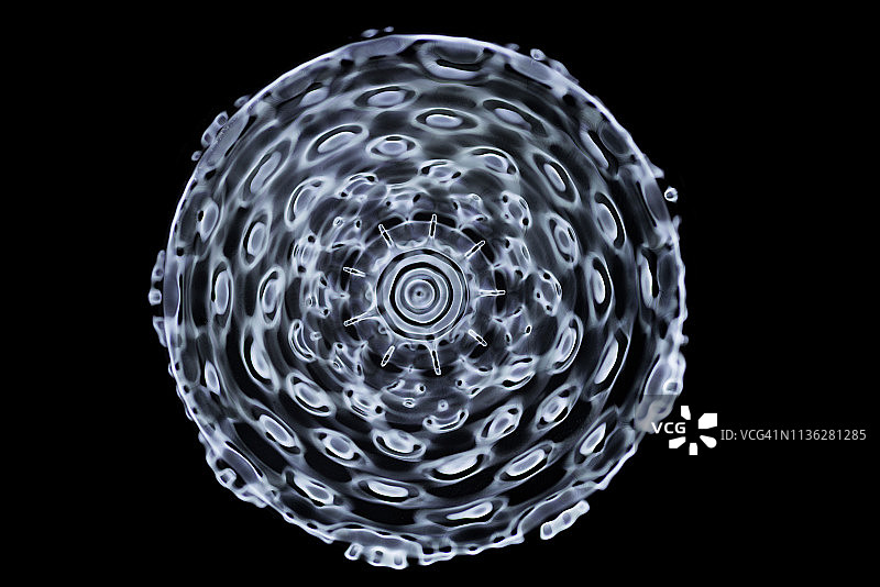 在不同频率的声音驱动下，水的Cymatic模式图片素材