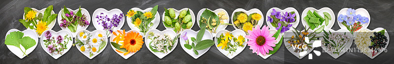 最重要的药用植物图片素材