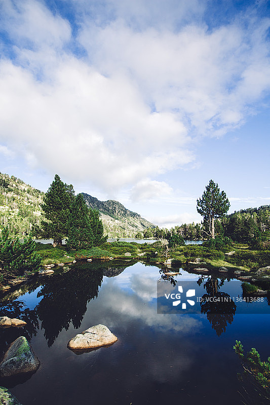 奥贝尔湖和奥马尔湖之间的树木倒影图片素材
