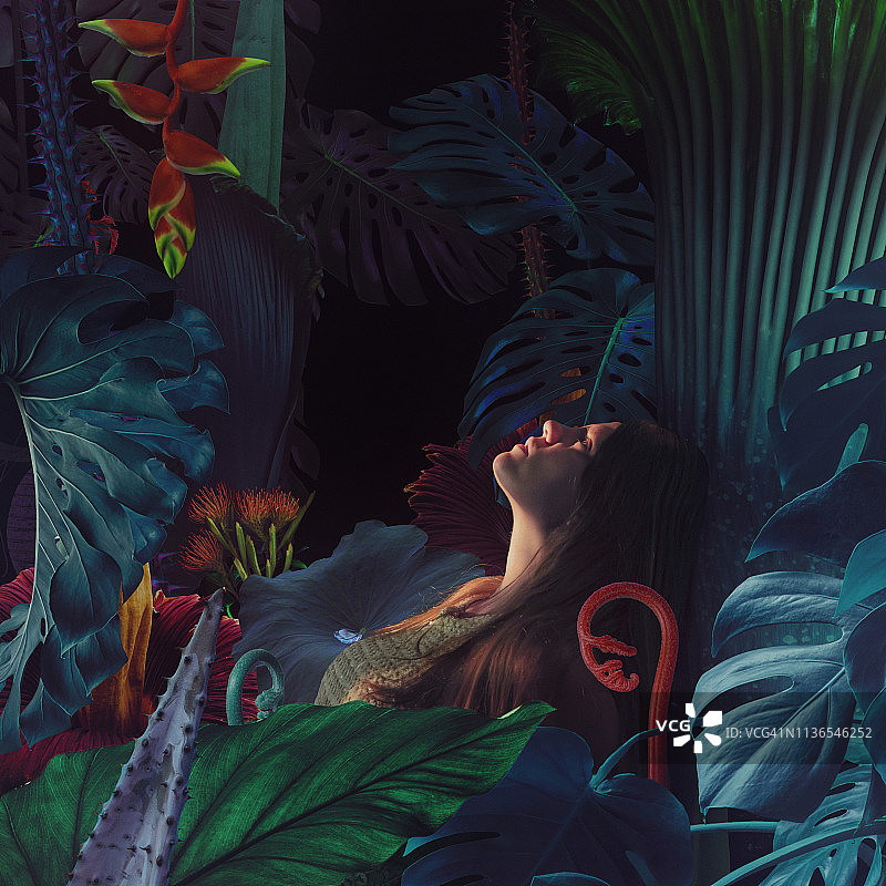 超现实丛林人像图片素材