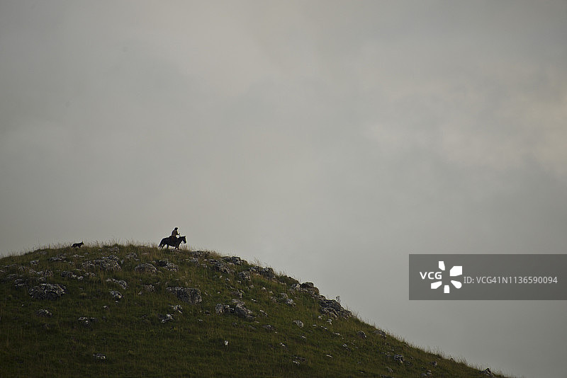 高乔骑马图片素材