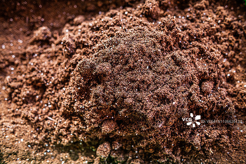 园艺：播种和土壤图片素材