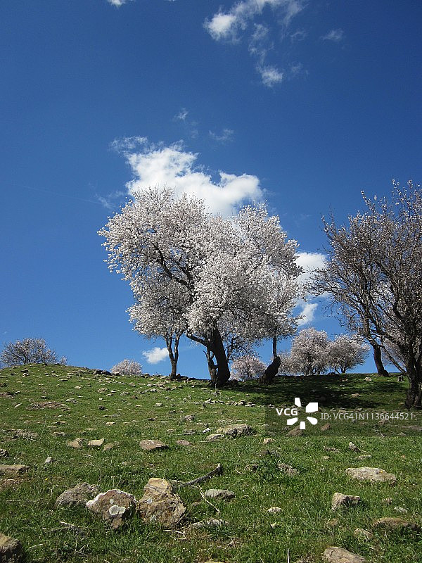 哈泽尔湖之旅：埃拉泽图片素材
