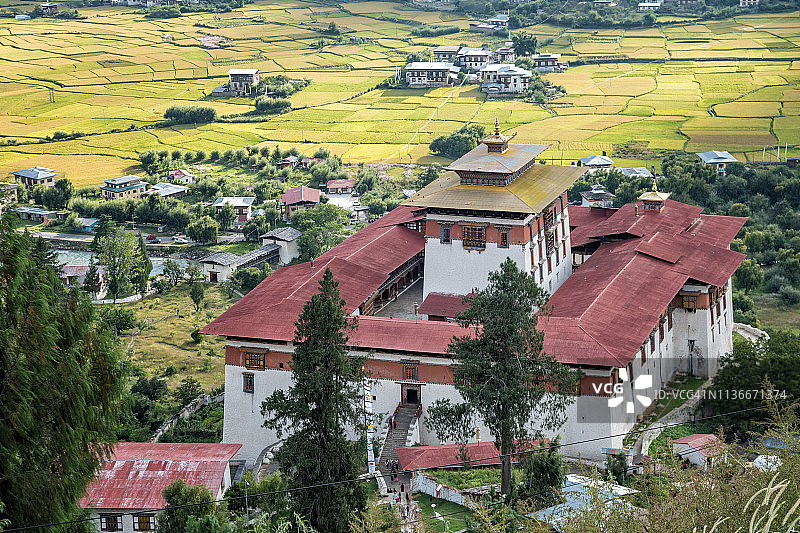 不丹帕罗宗（仁蓬宗）的稻田图片素材