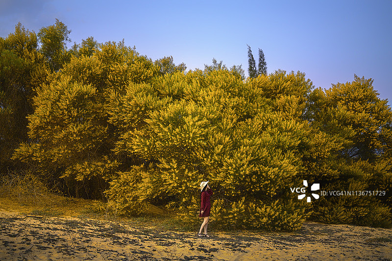 在越南大叻花园里散步和玩耍的女孩图片素材