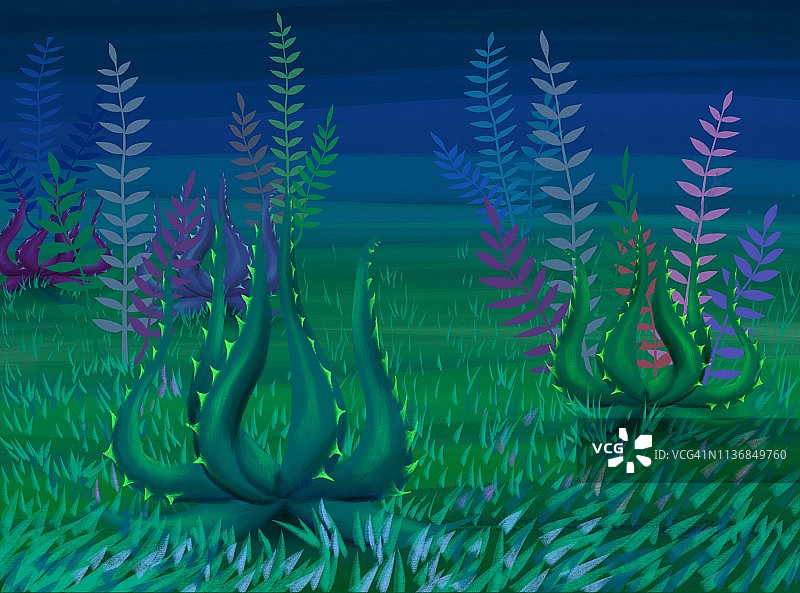 装饰性夜间植物背景图片素材