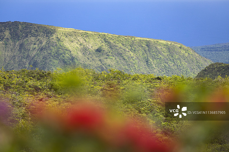 夏威夷瓦皮奥山谷景色，阿科纳山脊突出图片素材