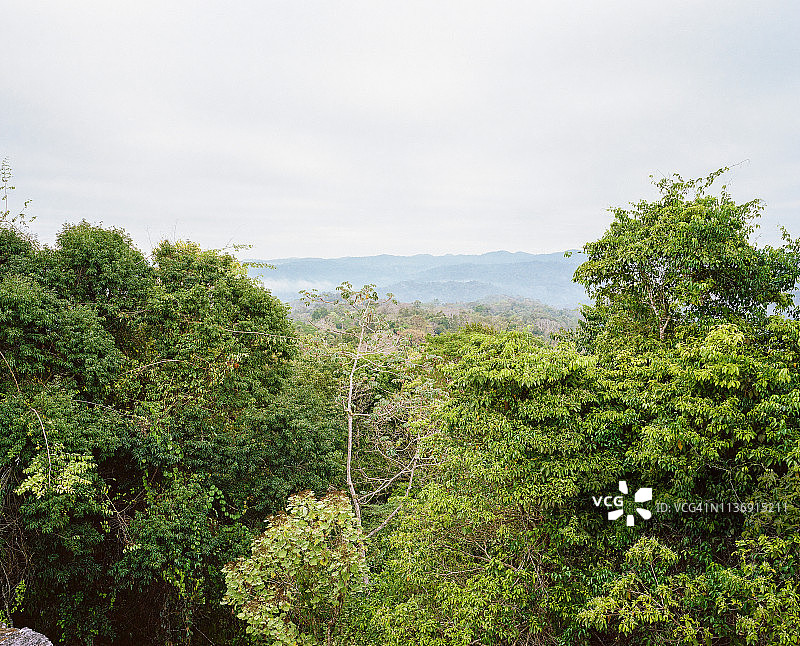 邻近伯利兹苏南图尼 Mayan 遗址的雨林图片素材