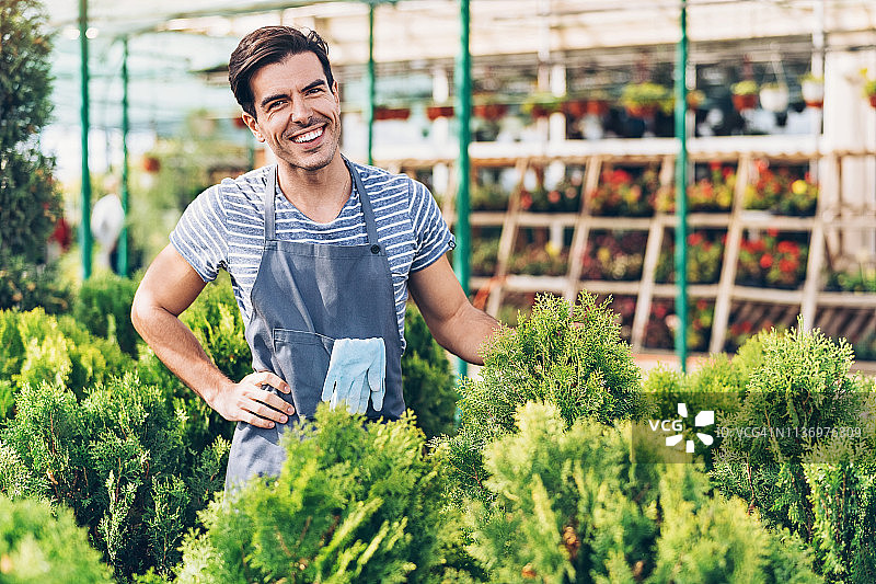 站在常绿灌木丛中的微笑园丁图片素材