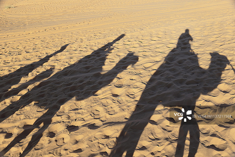 撒哈拉沙漠中骆驼队的阴影图片素材