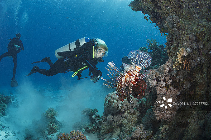 水肺潜水员探索珊瑚礁狮子鱼海洋生物水下照片图片素材