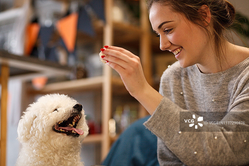 年轻女人和她的狗在家玩球图片素材