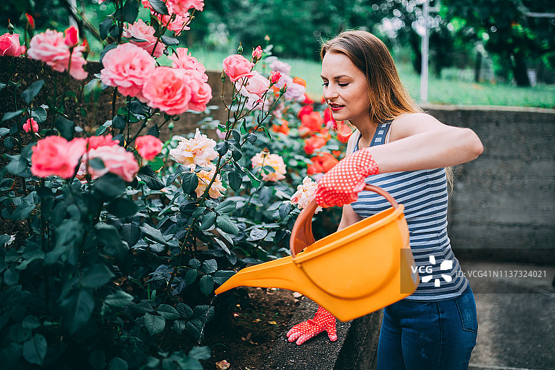 女人在阳光明媚的春天浇灌植物图片素材