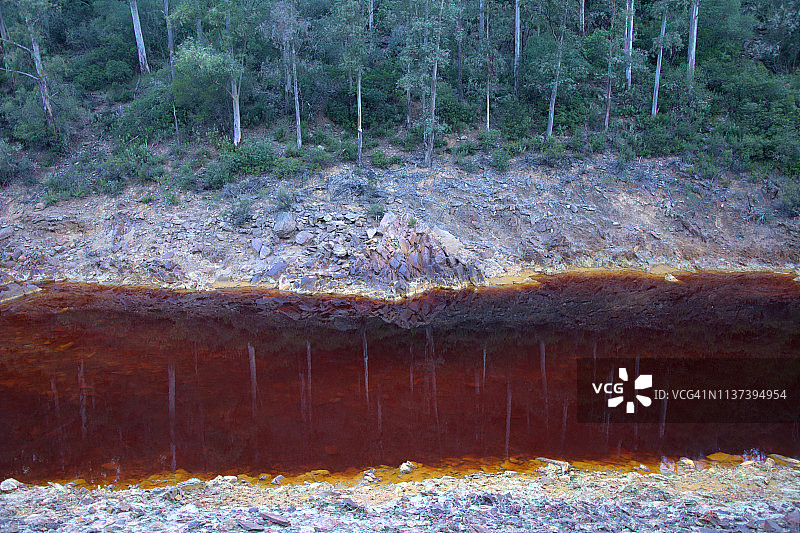 创意简介-自然和野生动物。里约热内卢(Rio Tinto)图片素材