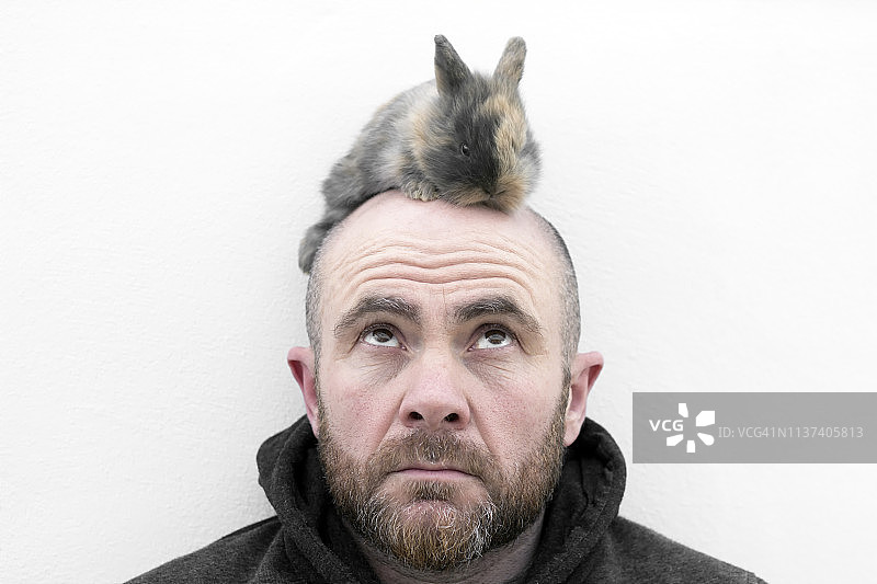 男人头顶上的兔子图片素材