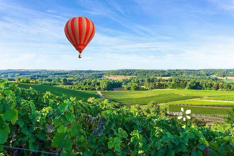 香槟葡萄园日落时分的彩色热气球图片素材