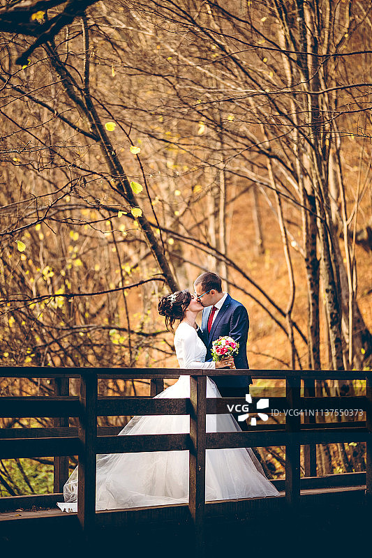 就结婚了图片素材