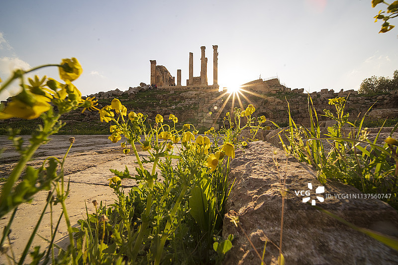 约旦杰拉什，带爱奥尼柱的椭圆形广场全景图片素材