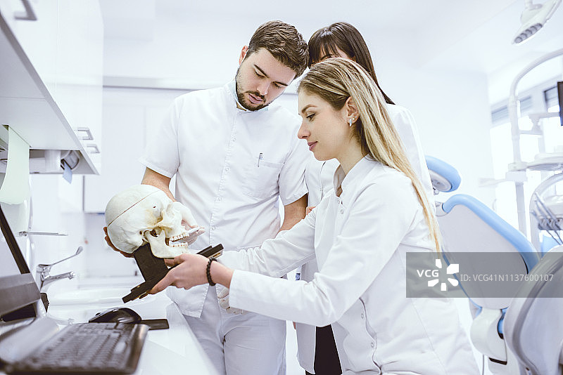 牙科学生和老师检查人类头骨图片素材