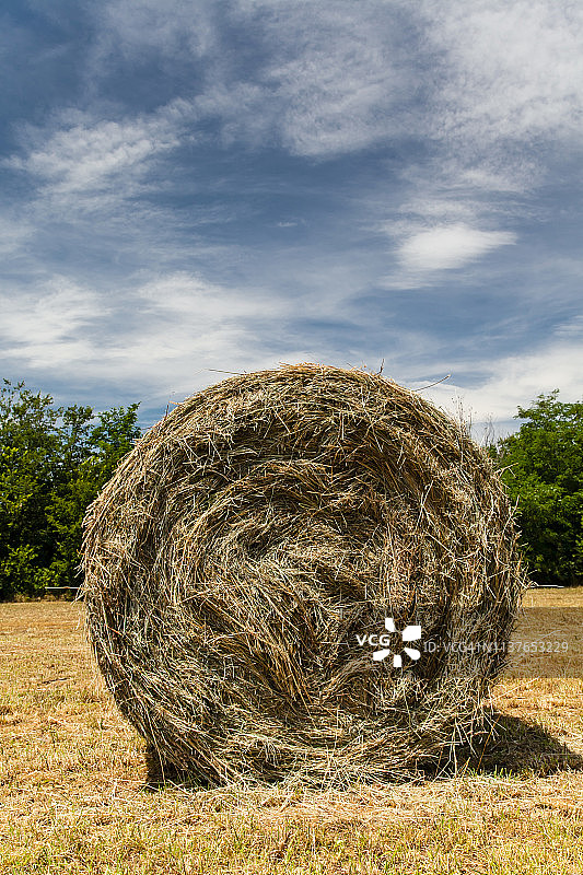 田地上的干草捆图片素材
