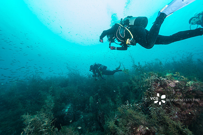 水下风光。明亮水域中的水肺潜水员图片素材