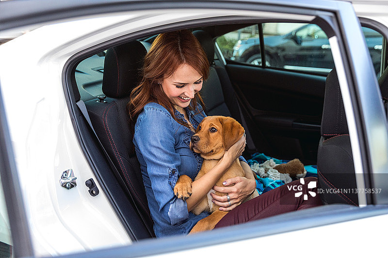 在车里和拉布拉多犬玩耍的女人图片素材