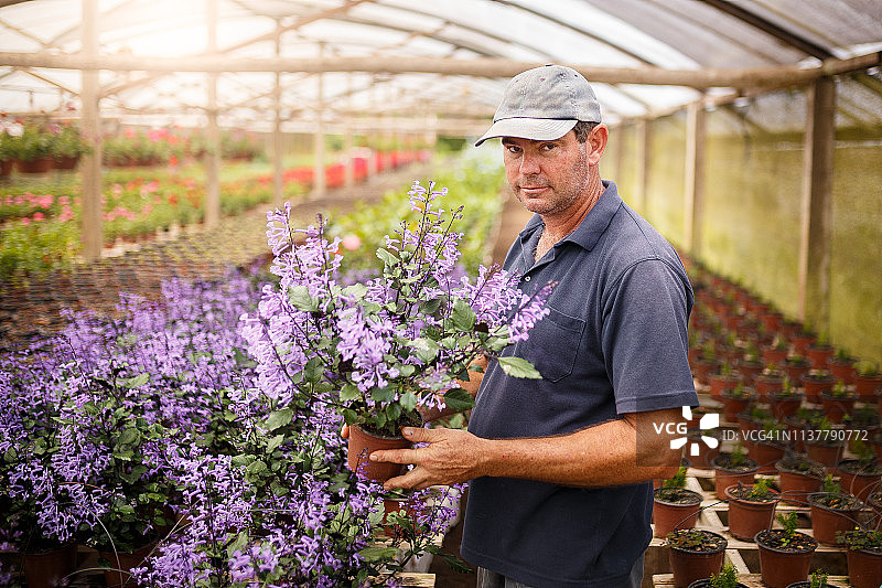 花店里的男花匠图片素材