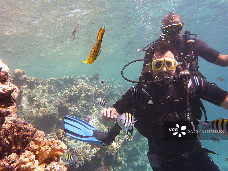 两人潜水图片素材