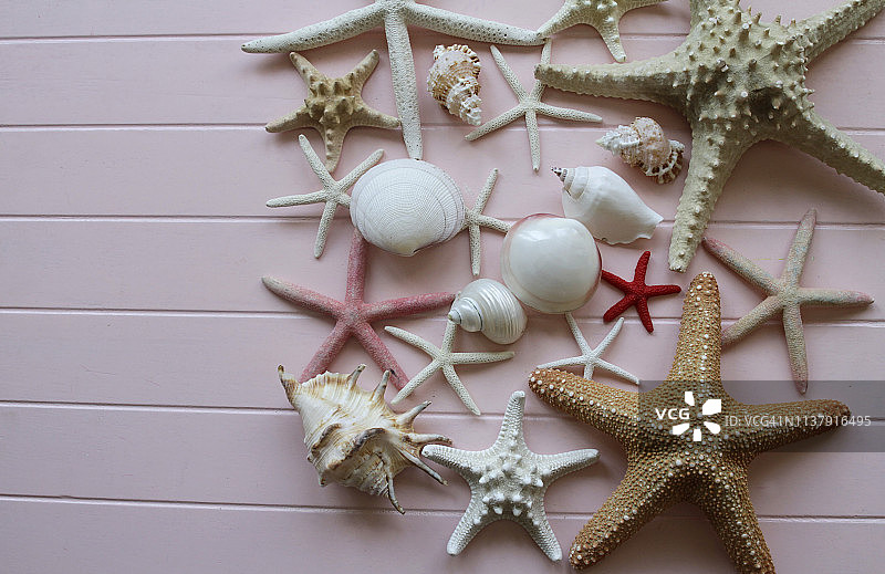 排列在乡村表面上的海星精选图片素材