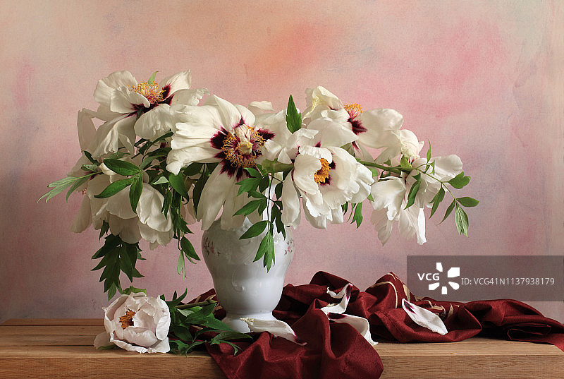 凋谢的白色树牡丹花束图片素材