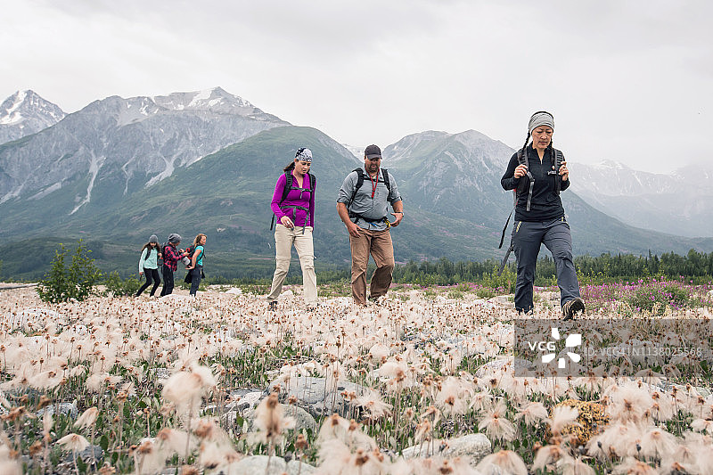 荒野小径上的徒步旅行者群体图片素材