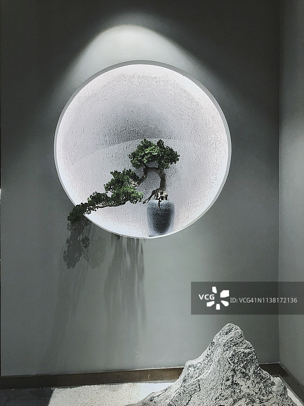 室内灯光下花瓶里的植物图片素材