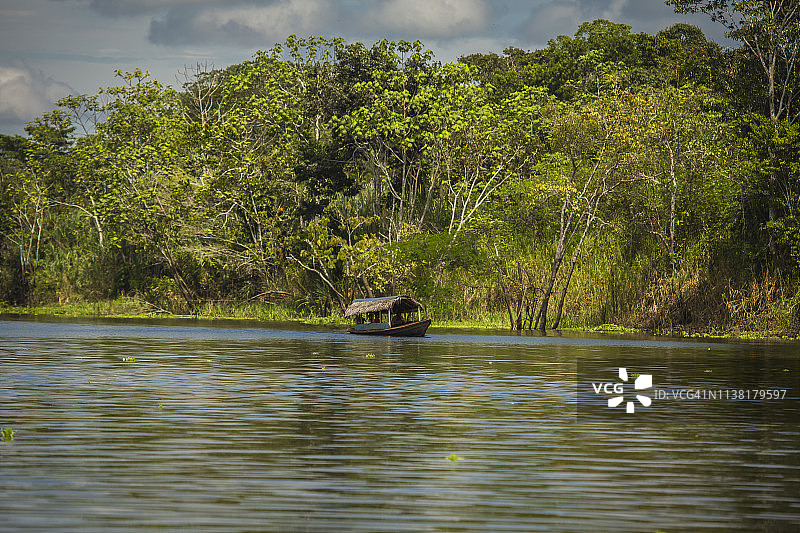 秘鲁雨林-马德雷·德迪奥斯-秘鲁图片素材
