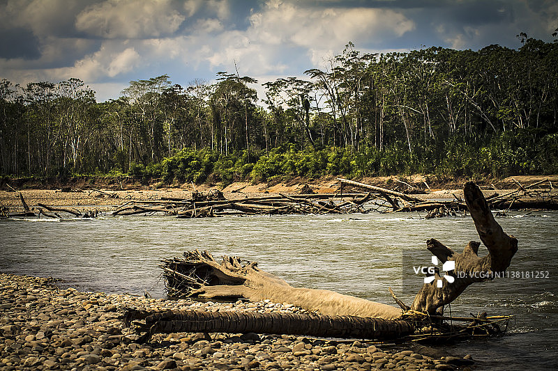 秘鲁雨林-马德雷·德迪奥斯-秘鲁图片素材
